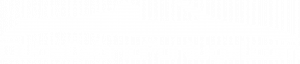 AnyCar